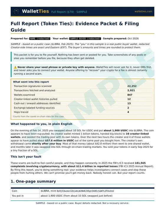 First page of the sample Full Investigation